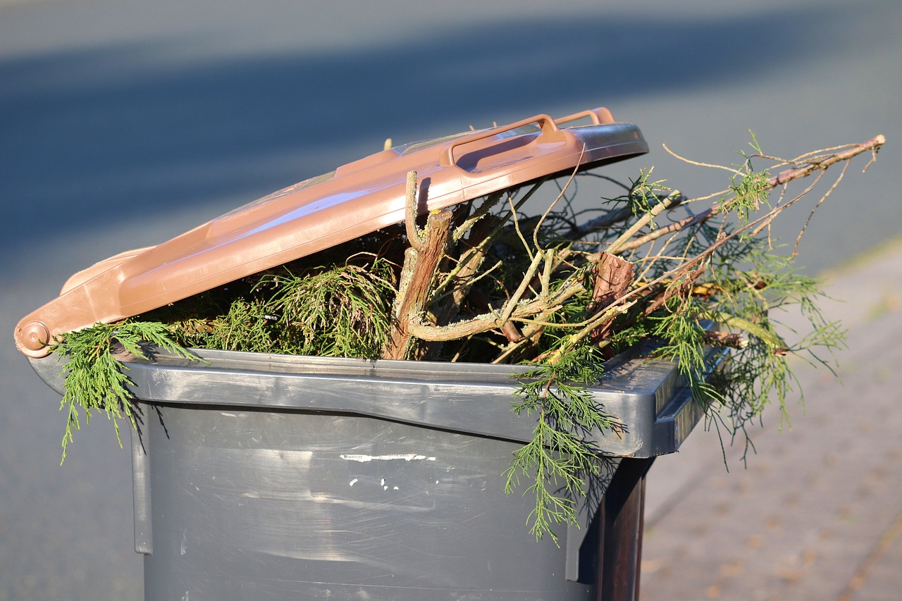 The Environmental Impact of Pet Waste